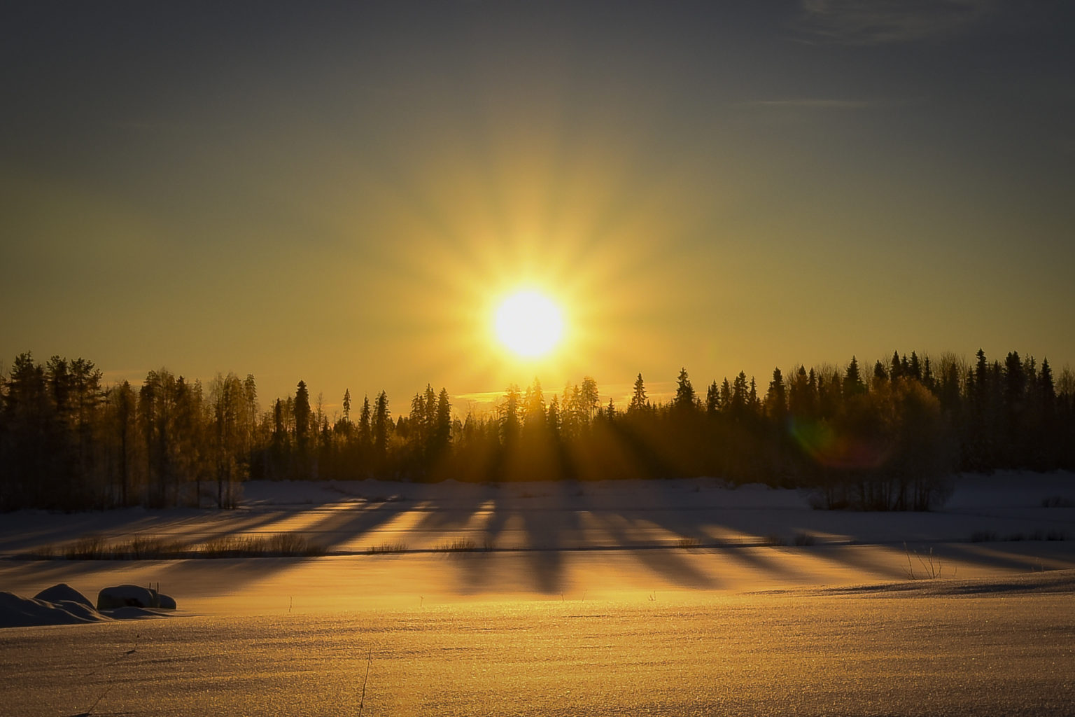Valokuvaaja: Maija Savolainen