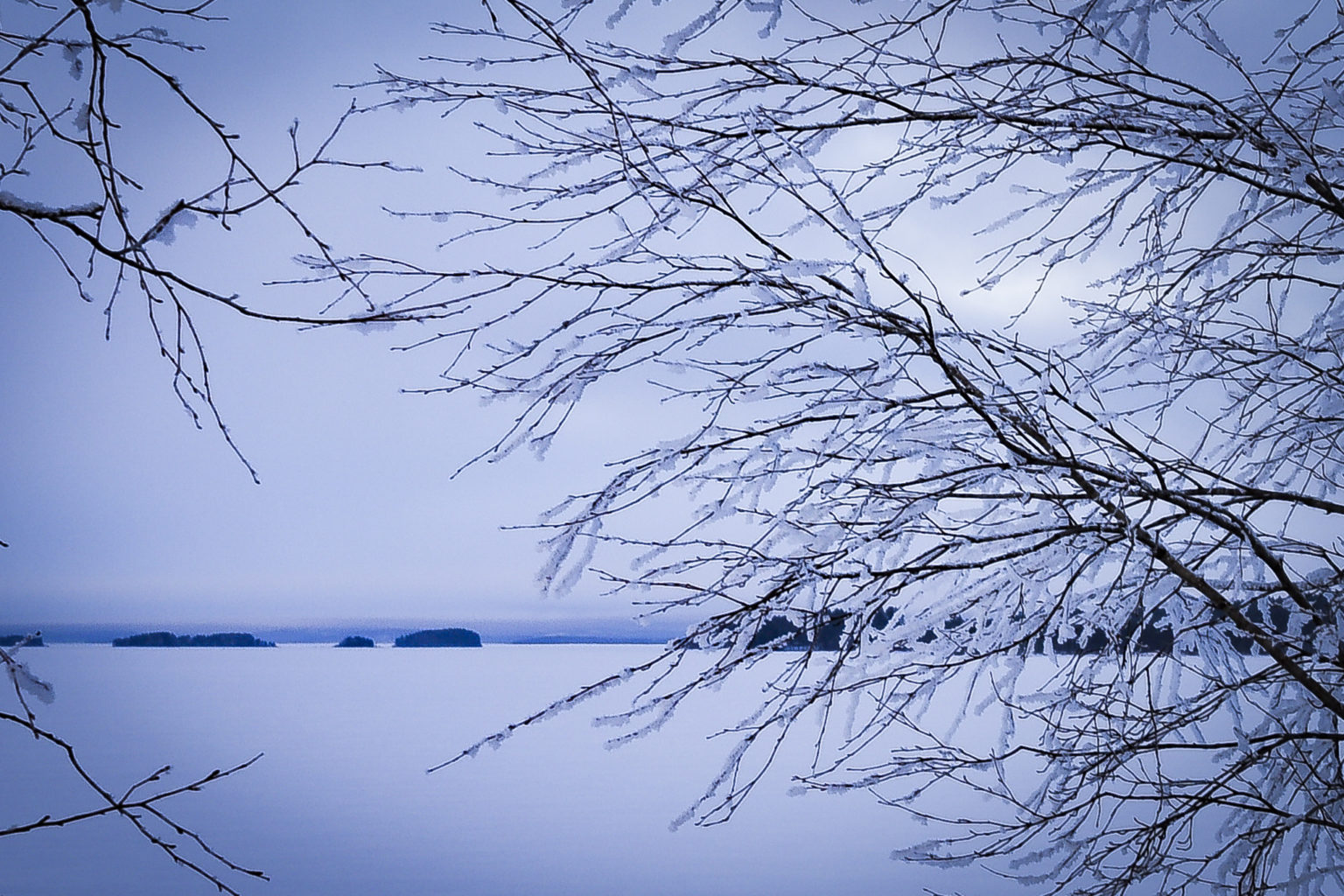 Valokuvaaja: Maija Savolainen Valokuvaaja: Maija Savolainen