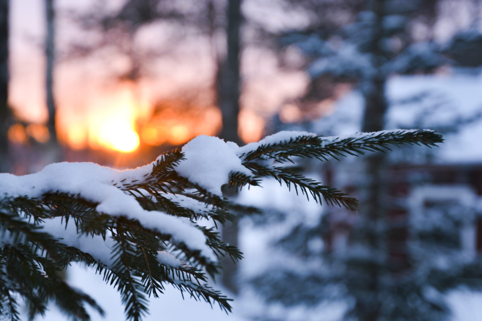 Valokuvaaja: Maija Savolainen