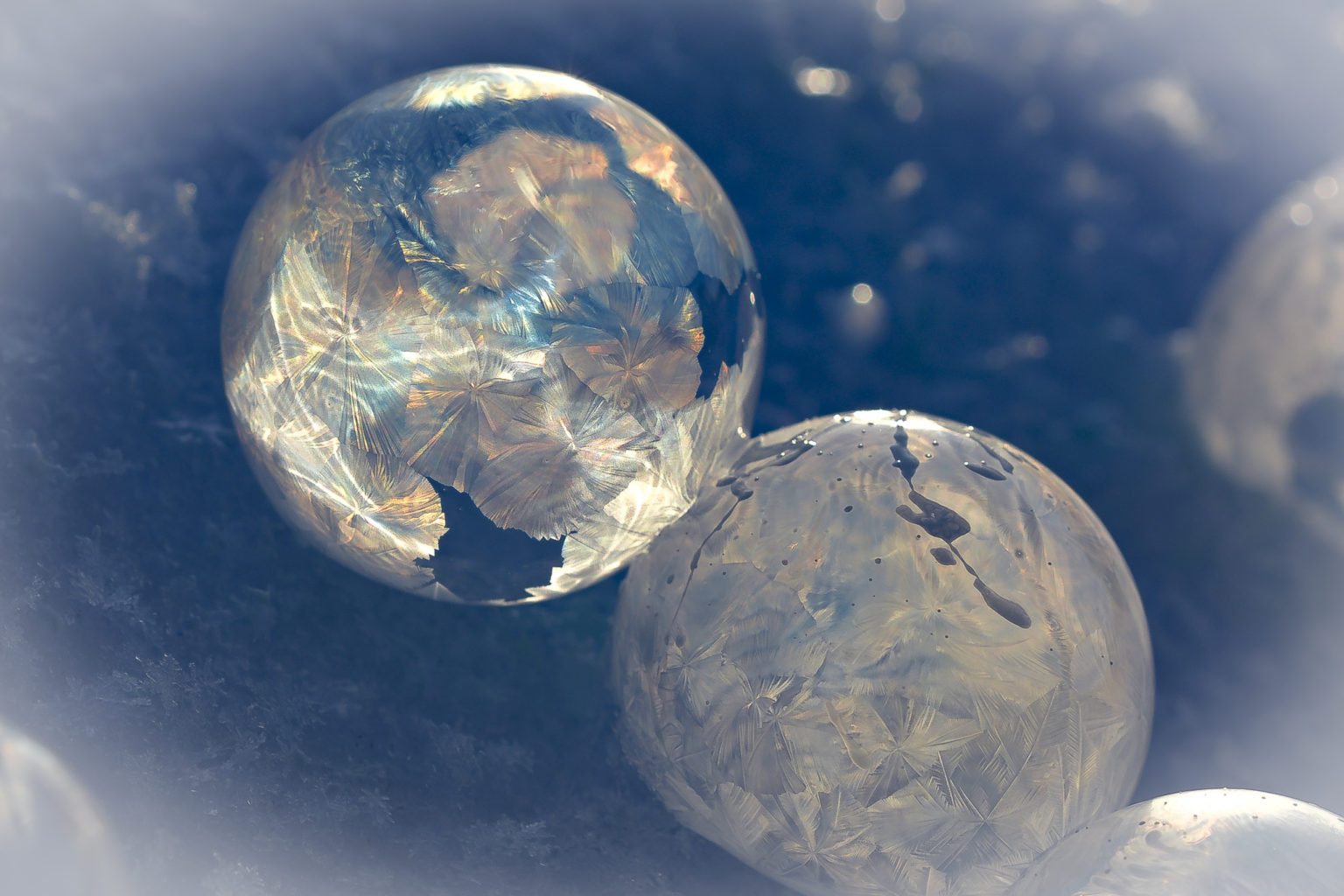 Valokuvaaja: Maija Savolainen