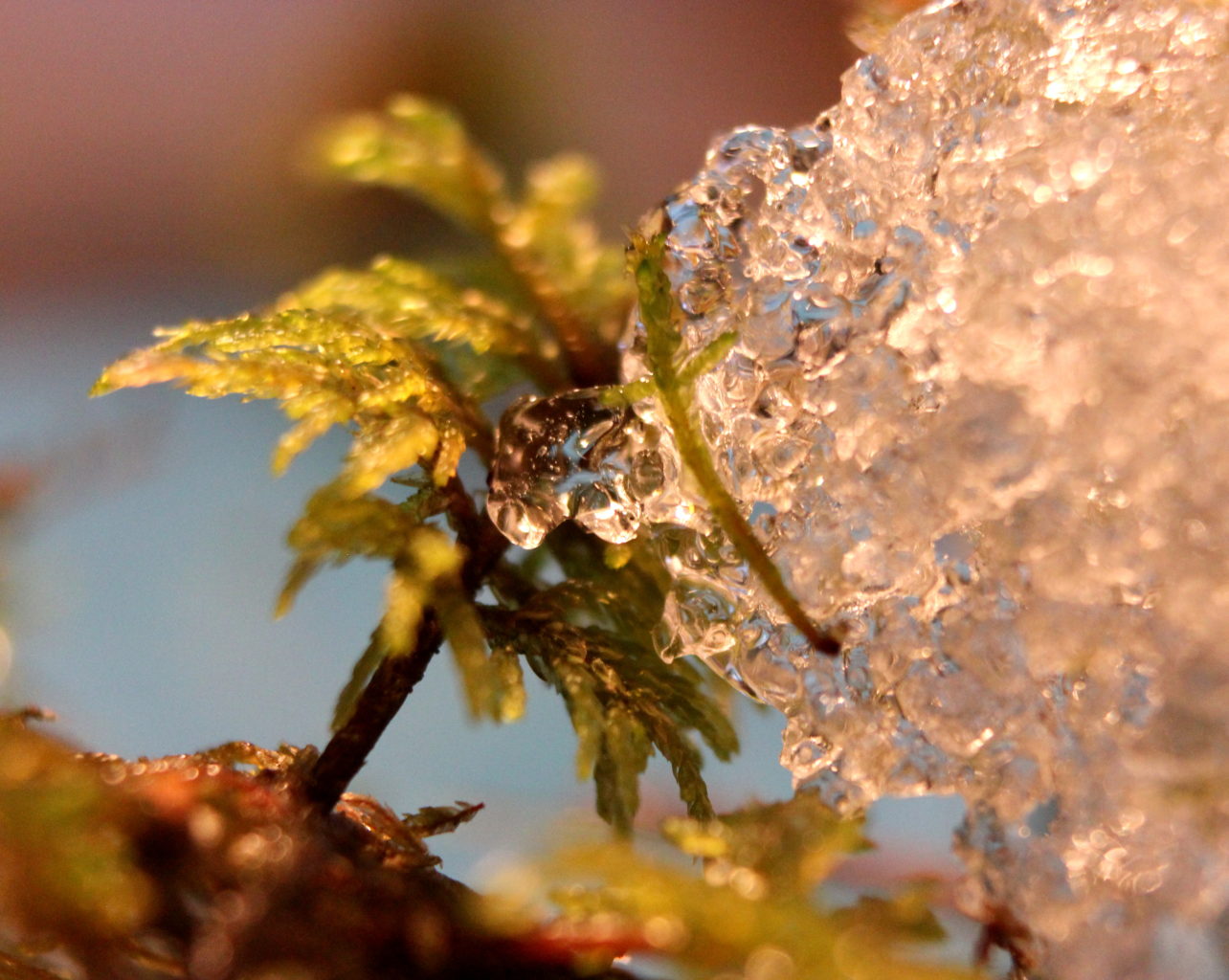 Valokuvaaja: Irja lehtinen