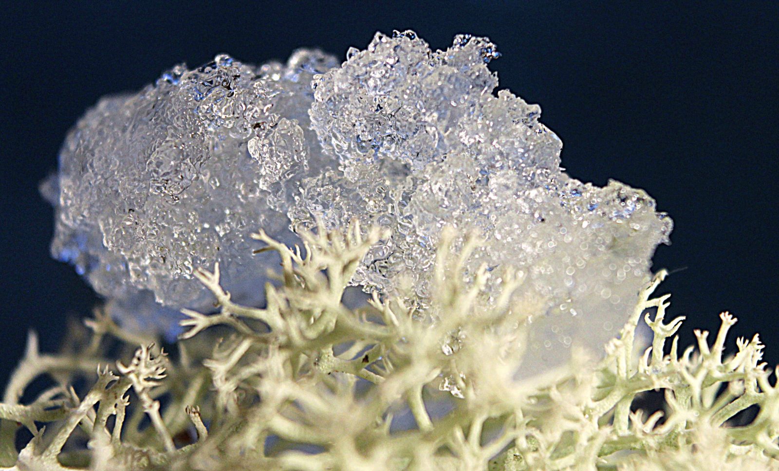 Valokuvaaja: Irja Lehtinen