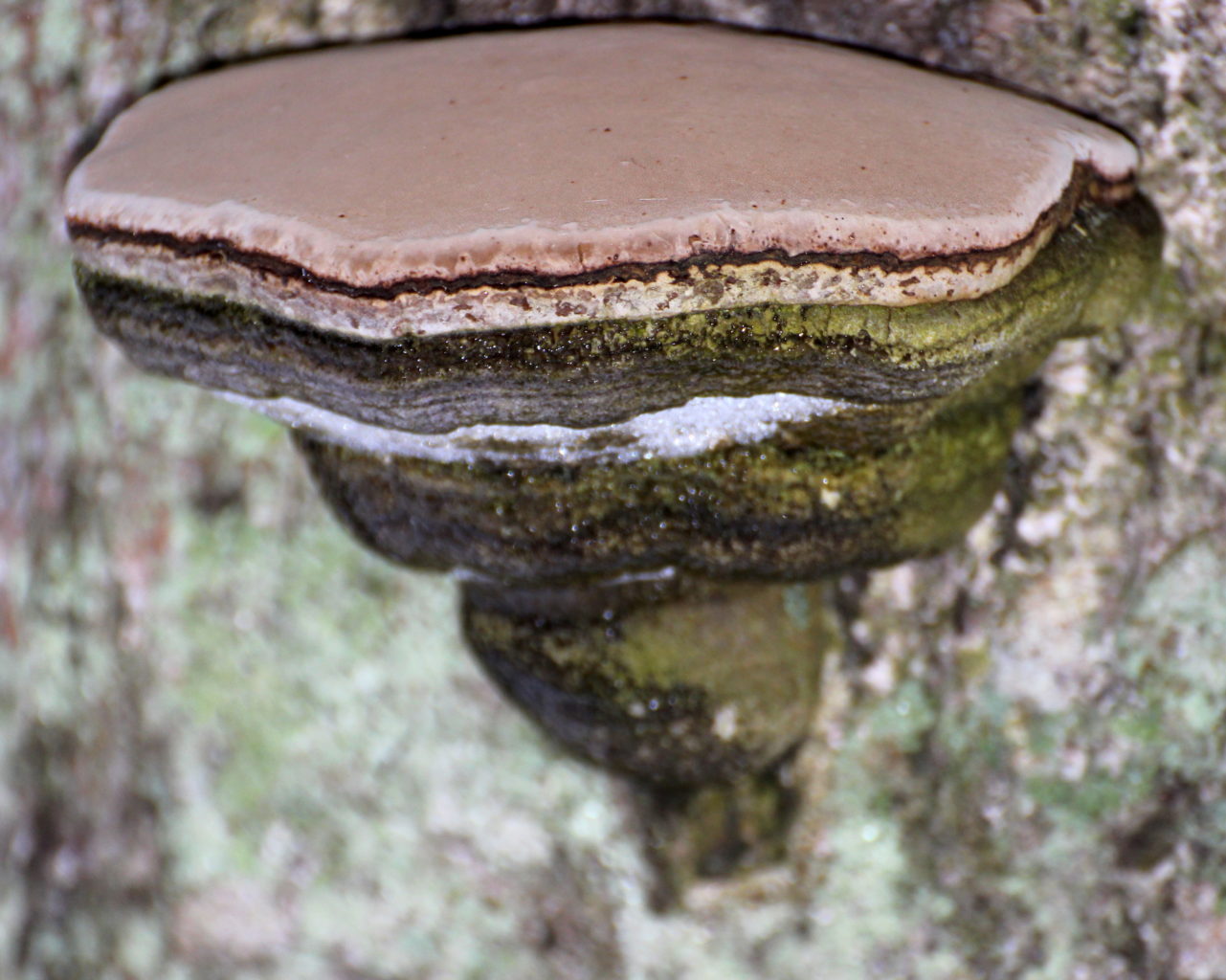 Valokuvaaja: Irja Lehtinen