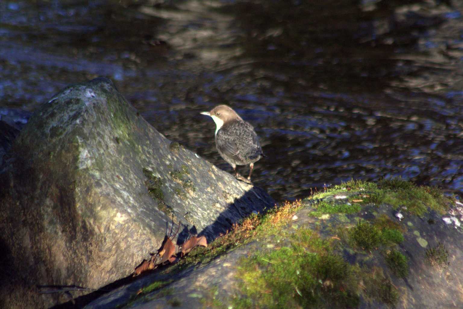 Valokuvaaja: tapio keinonen