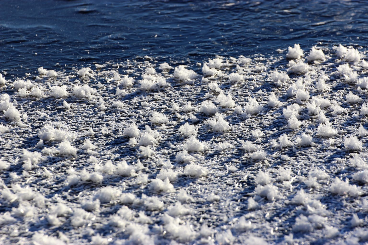 Valokuvaaja: Irja Lehtinen Valokuvaaja: Irja Lehtinen