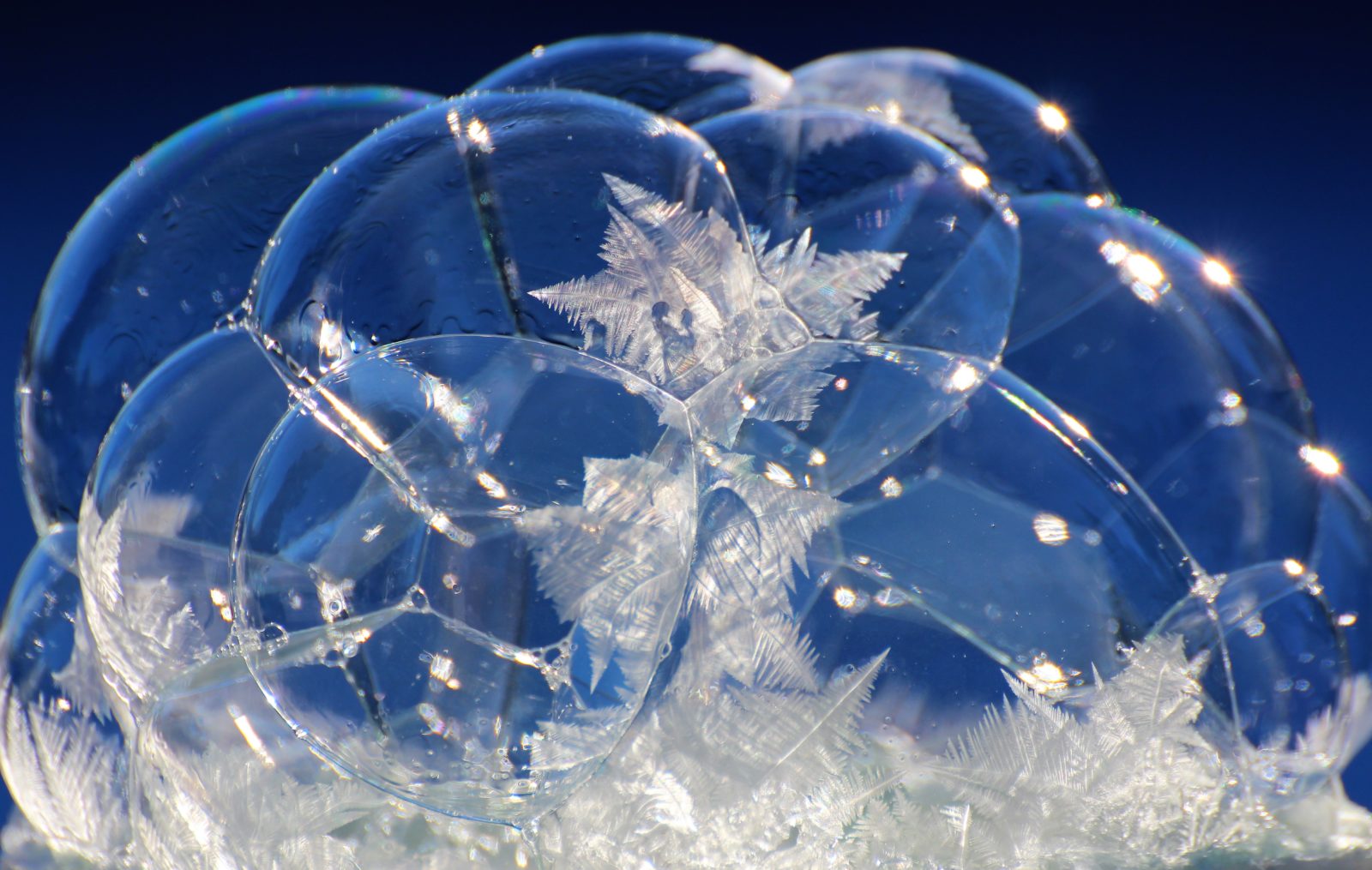 Valokuvaaja: Irja lehtinen