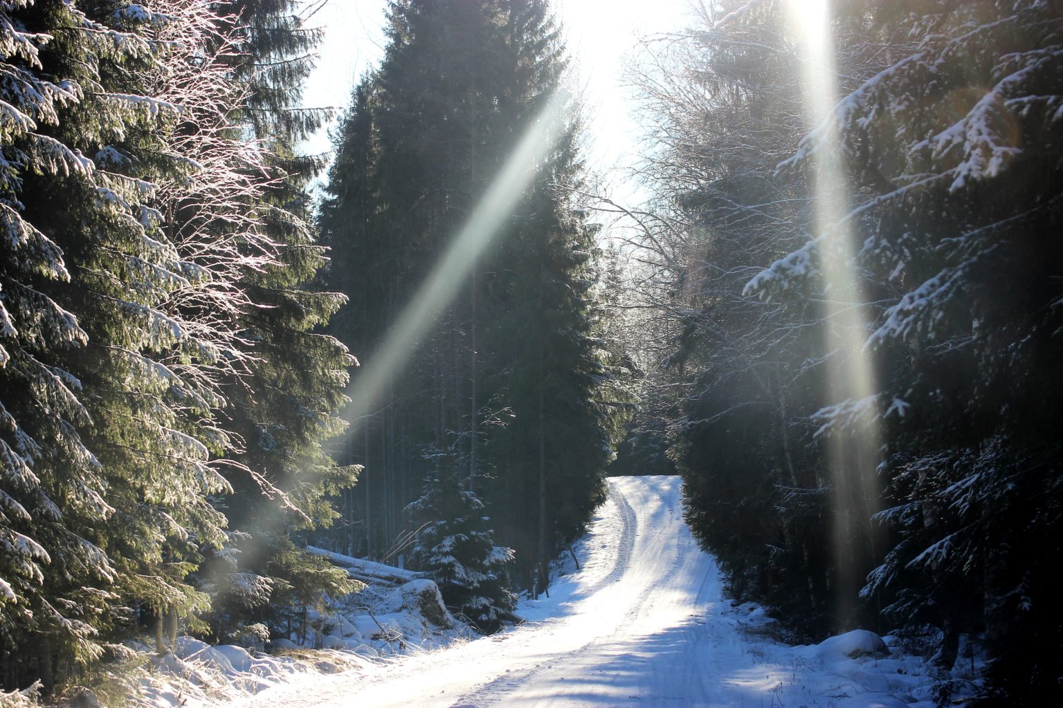 Valokuvaaja: Irja Lehtinen