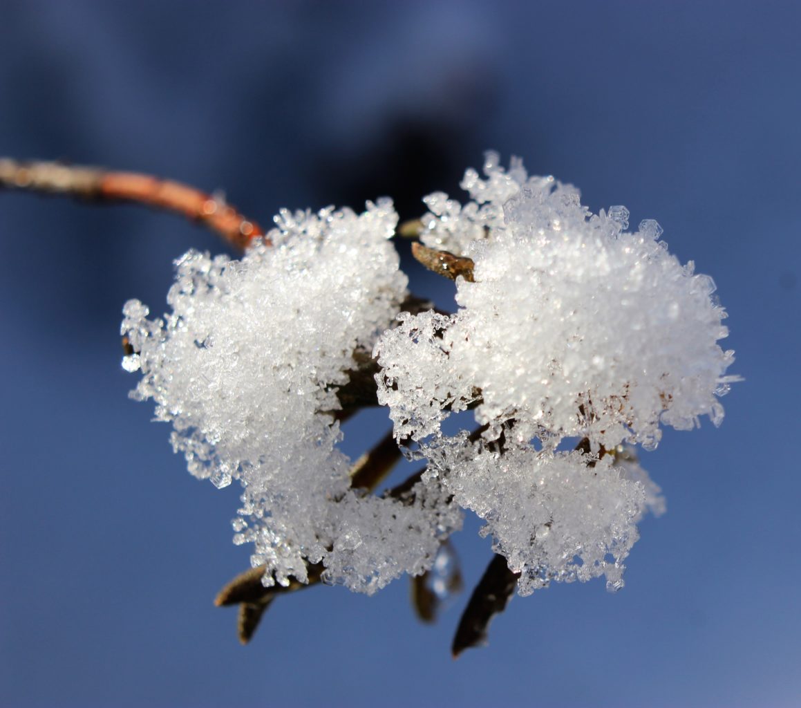 Valokuvaaja: Irja Lehtinen