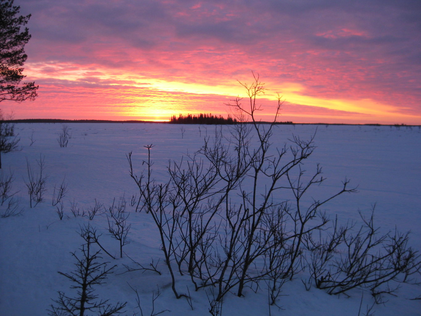Valokuvaaja: yrjo lukkari