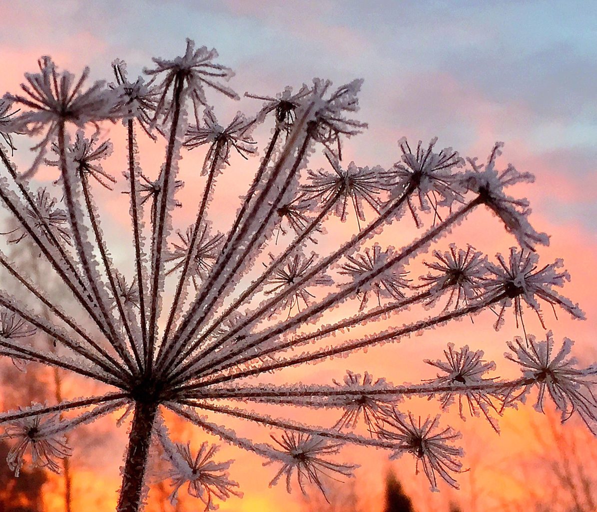 Valokuvaaja: Katja Hellman