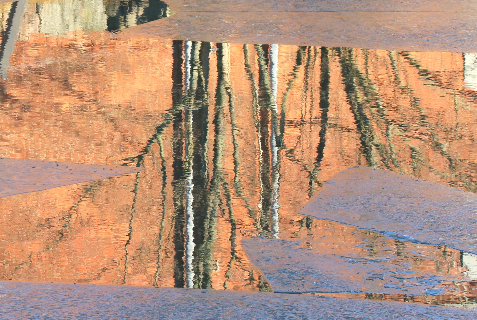 Valokuvaaja: Irja Lehtinen Valokuvaaja: Irja Lehtinen