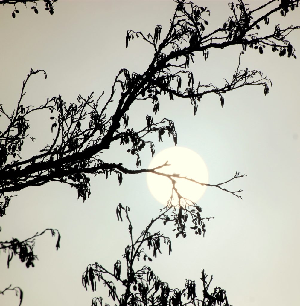 Valokuvaaja: Irja Lehtinen