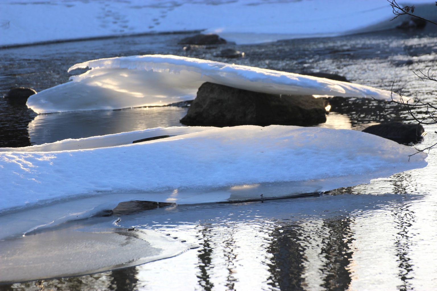 Valokuvaaja: Irja Lehtinen