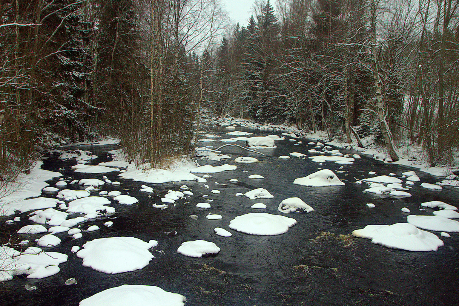 Valokuvaaja: Sirpa Jyske