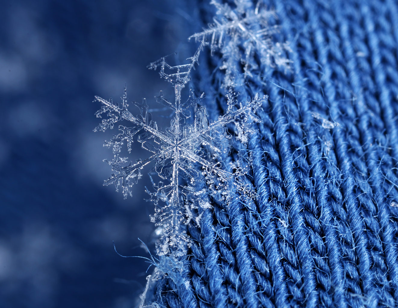 Valokuvaaja: Tarja Porkkala