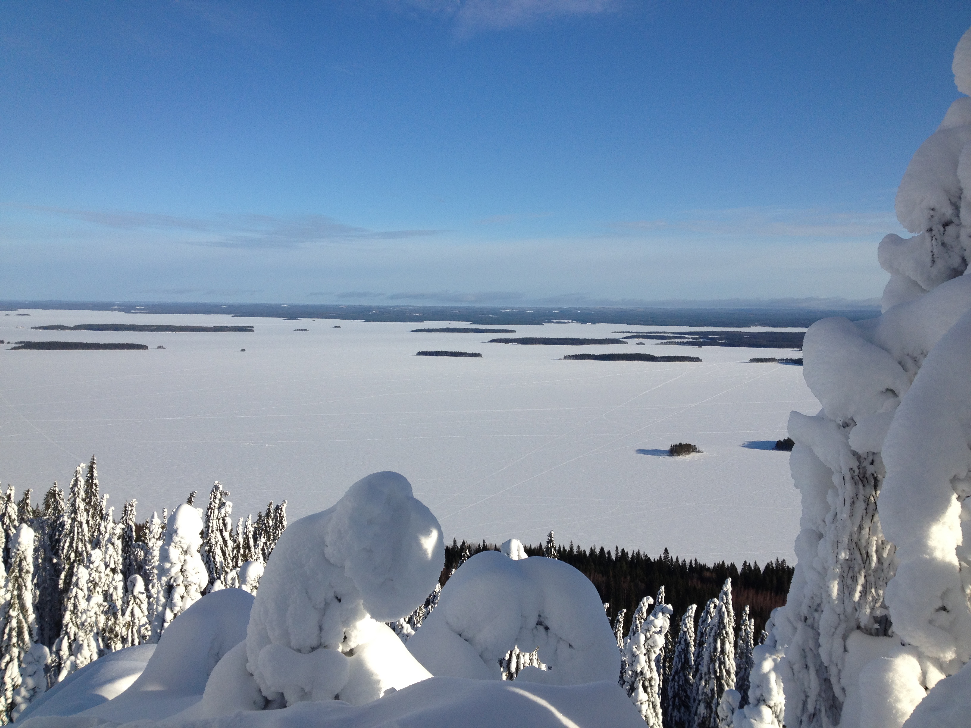 Valokuvaaja: Eila Ylönen