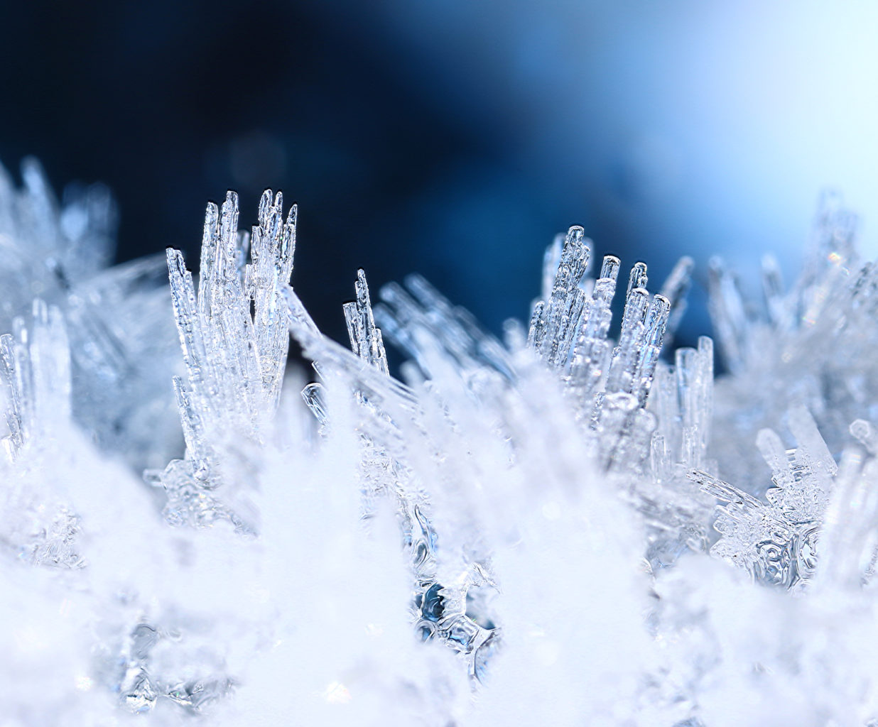 Valokuvaaja: Tarja Porkkala