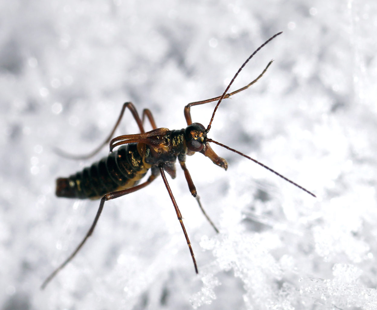 Valokuvaaja: Tarja Porkkala