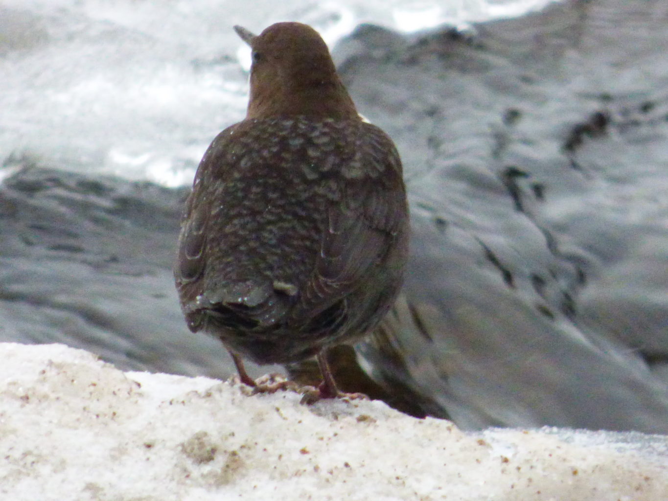 Valokuvaaja: Hannu Rissanen
