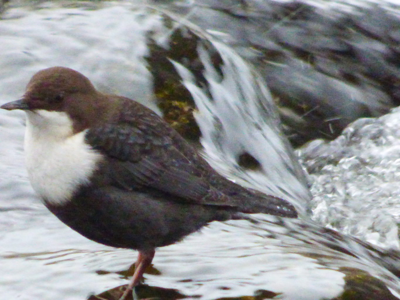 Valokuvaaja: Hannu Rissanen
