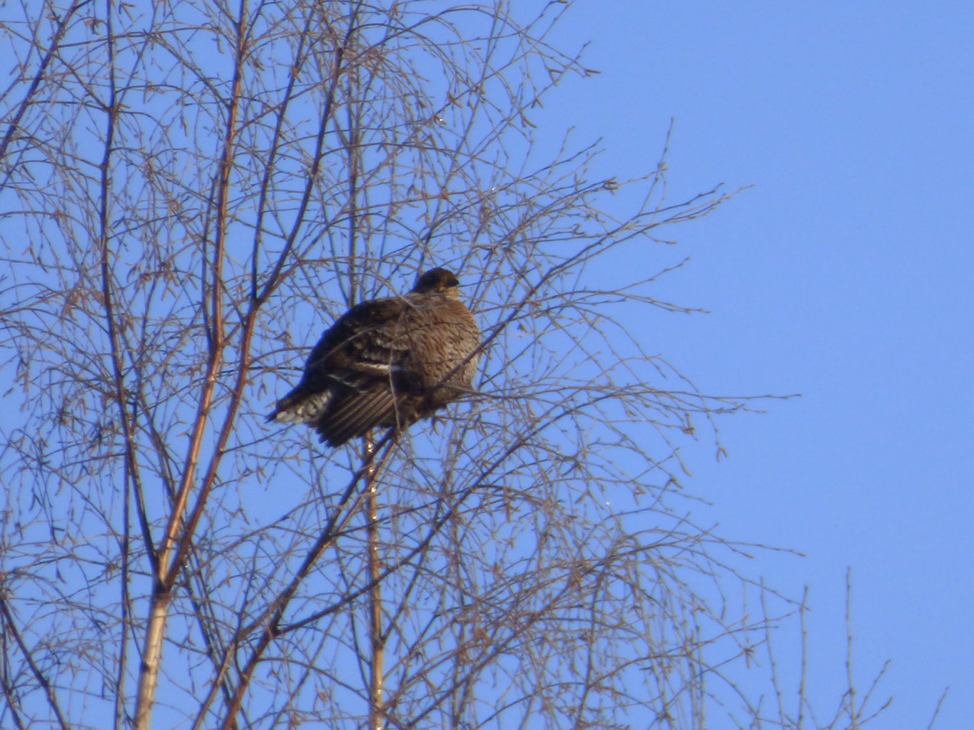 Valokuvaaja: Hannu Rissanen