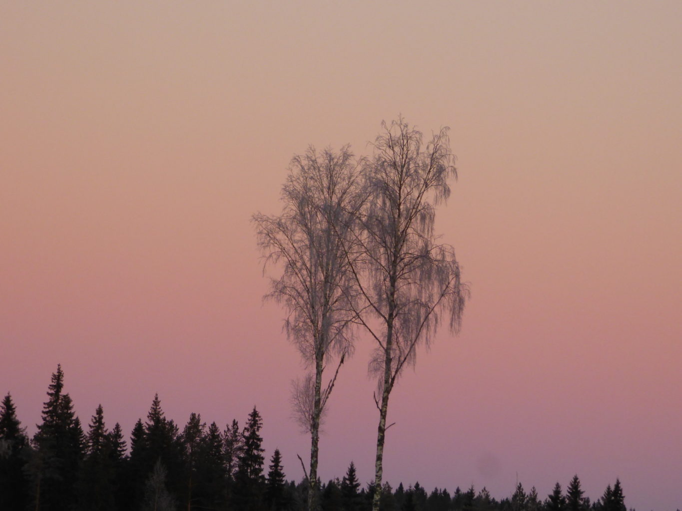 Valokuvaaja: Hannu Rissanen