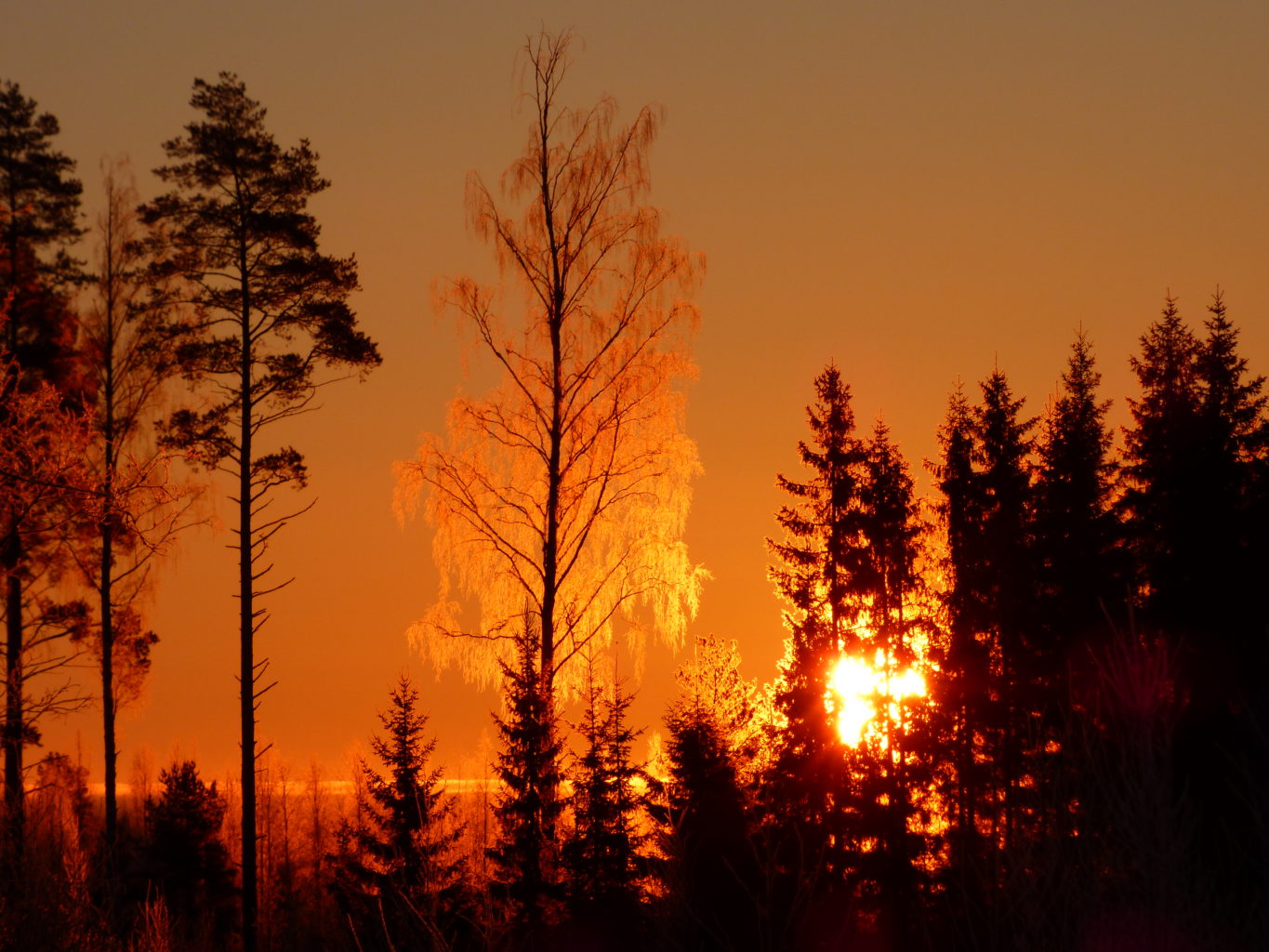 Valokuvaaja: Hannu Rissanen