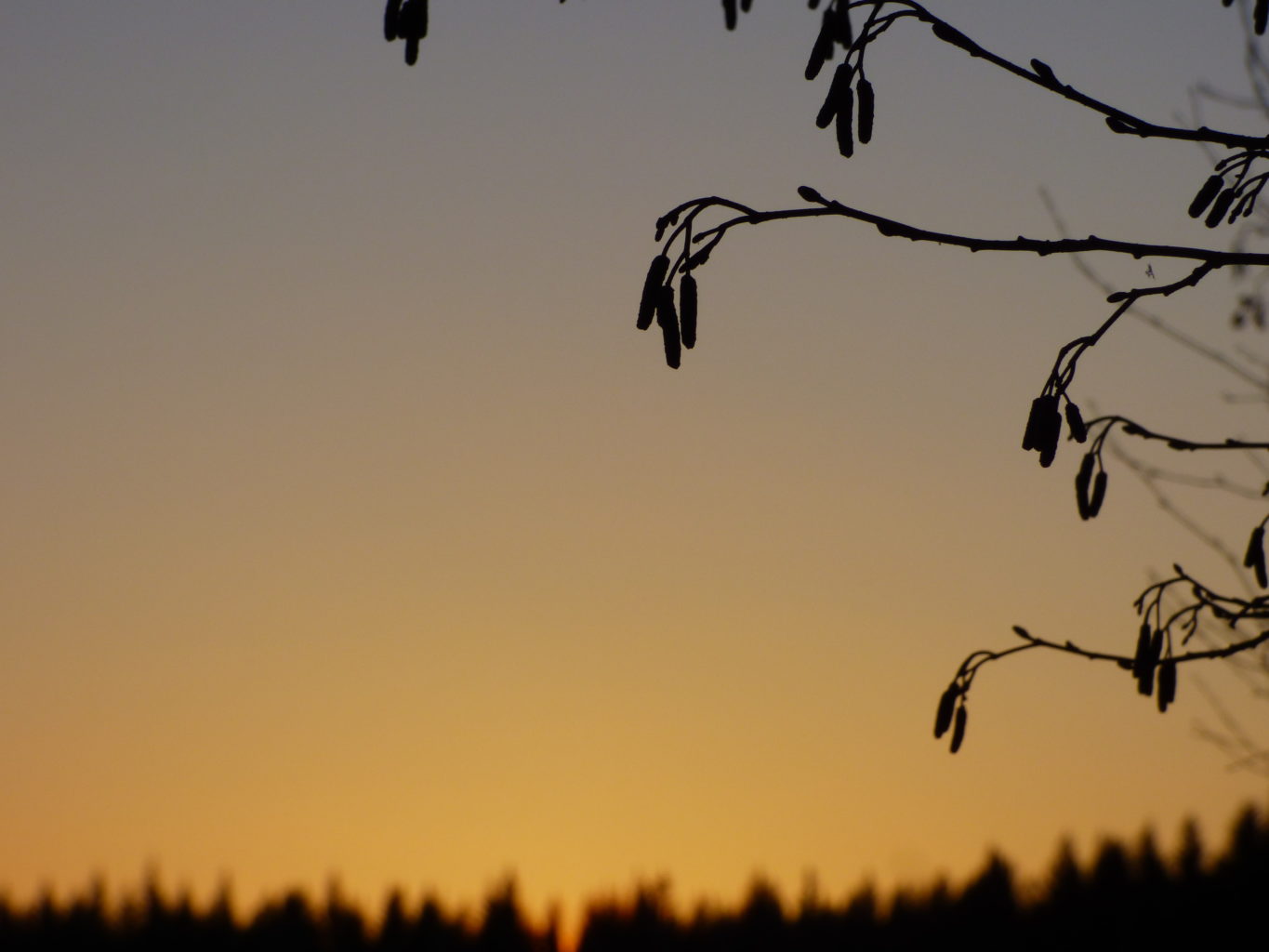 Valokuvaaja: Hannu Rissanen