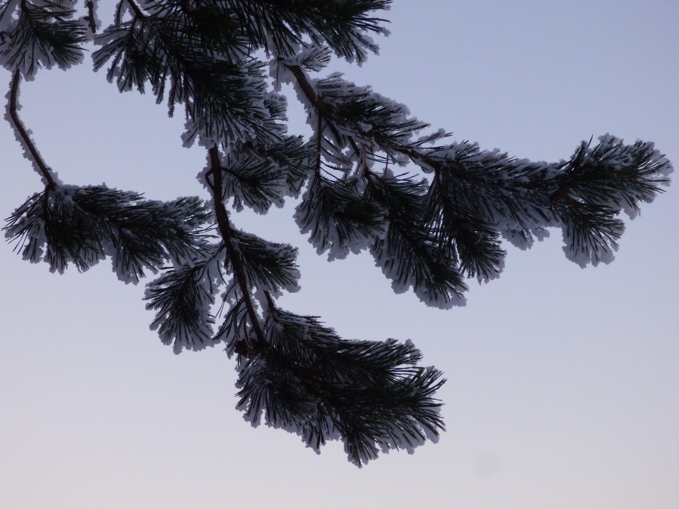 Valokuvaaja: Hannu Rissanen