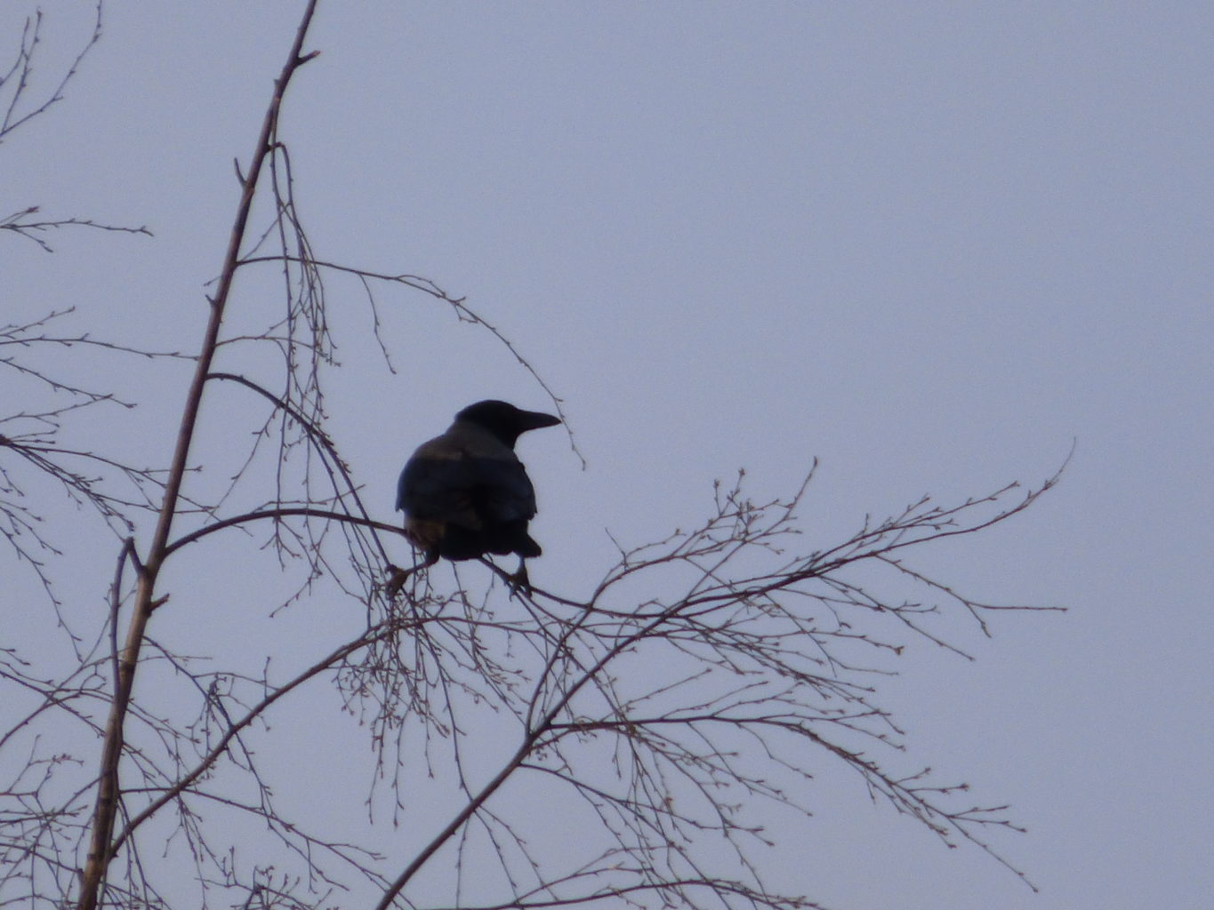 Valokuvaaja: Hannu Rissanen