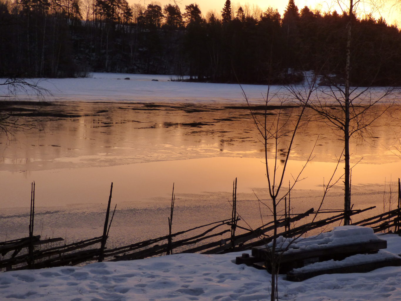 Valokuvaaja: Hannu Rissanen