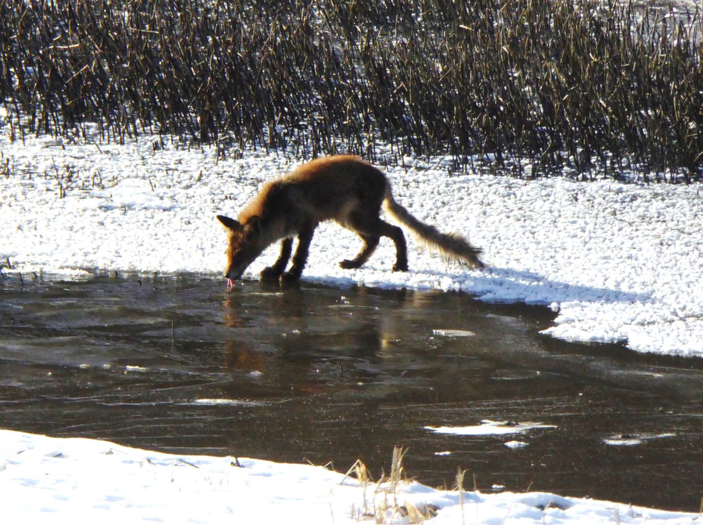Valokuvaaja: Eija Autio