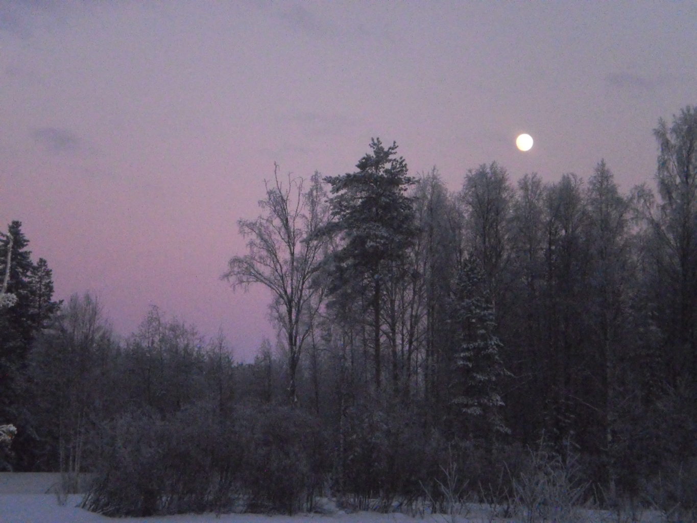 Valokuvaaja: Marja Leskinen