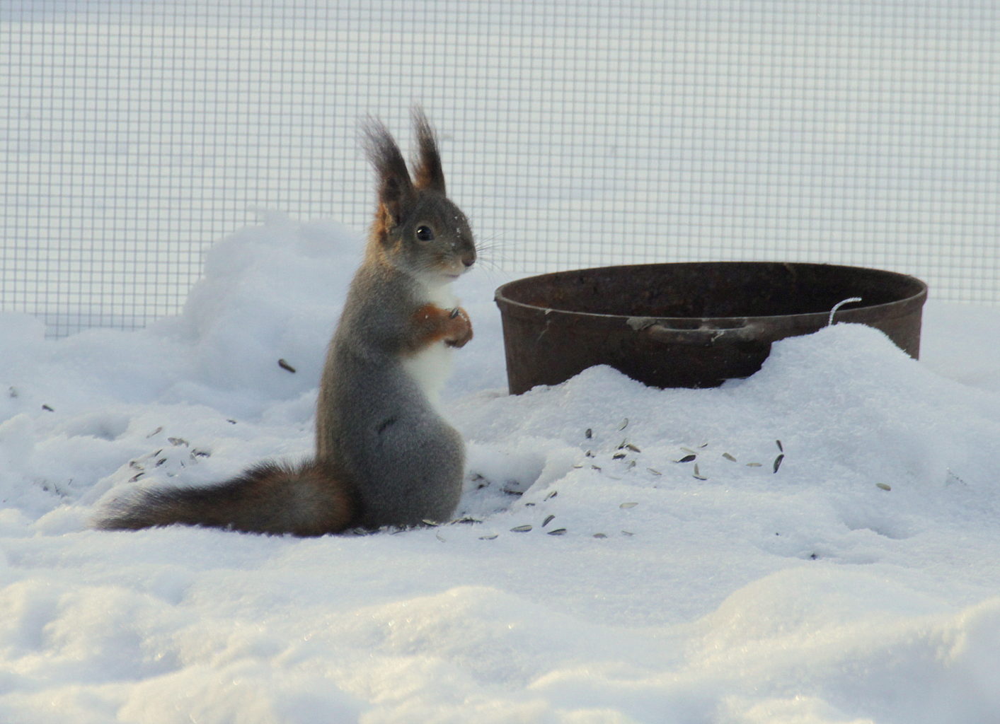 Valokuvaaja: Sirpa Jyske