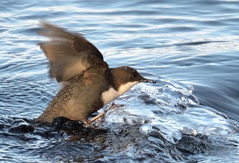 Valokuvaaja: Olli-Pekka Matikainen