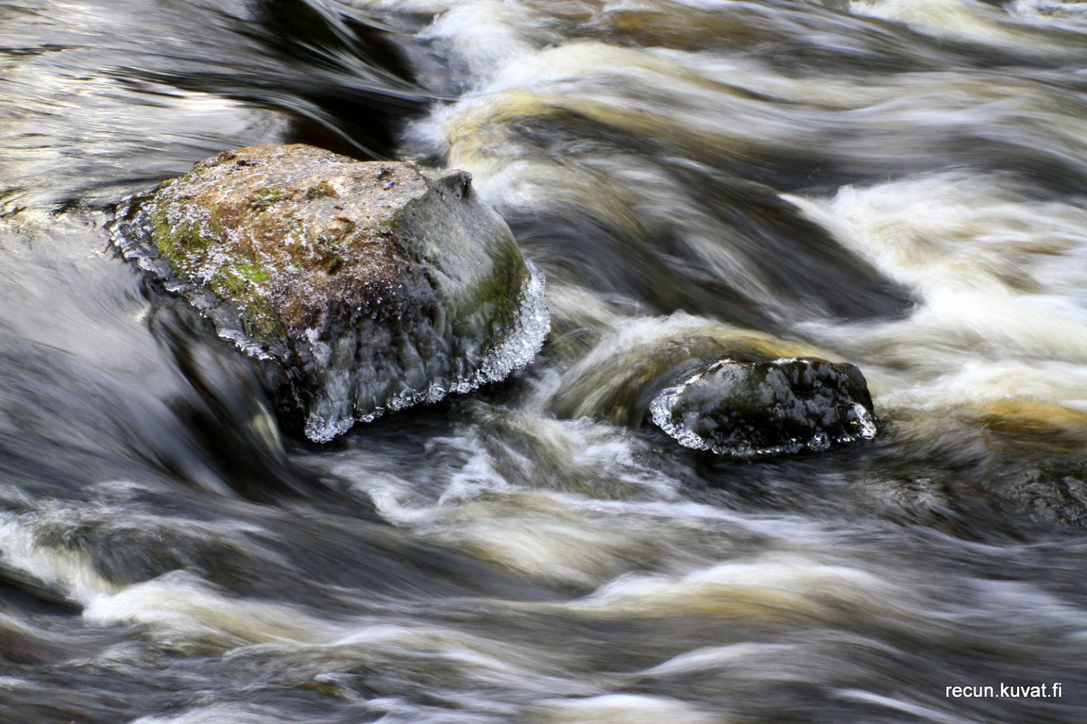 Valokuvaaja: Reijo Reccu Lehtonen
