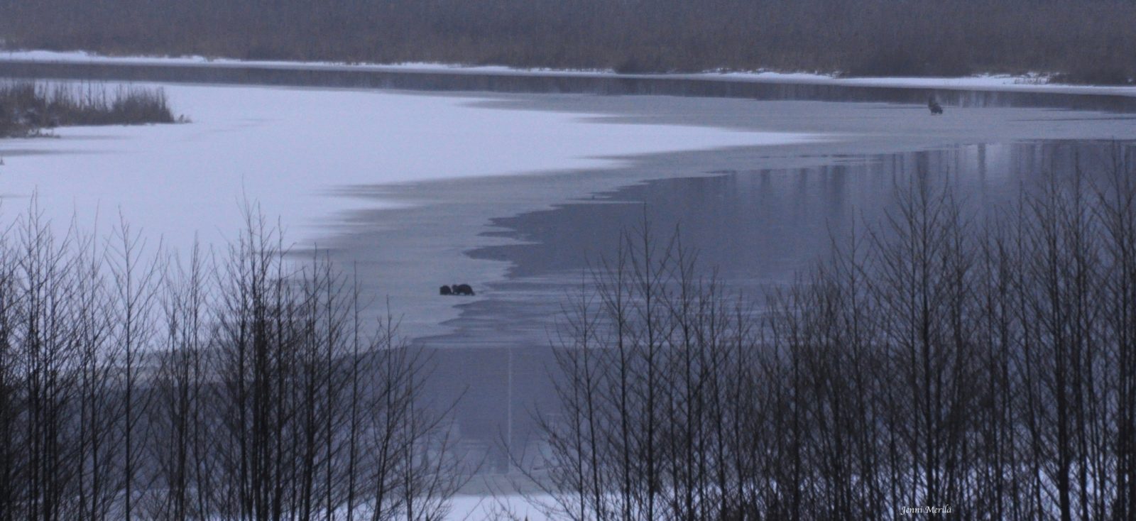 Valokuvaaja: Jenni Merilä