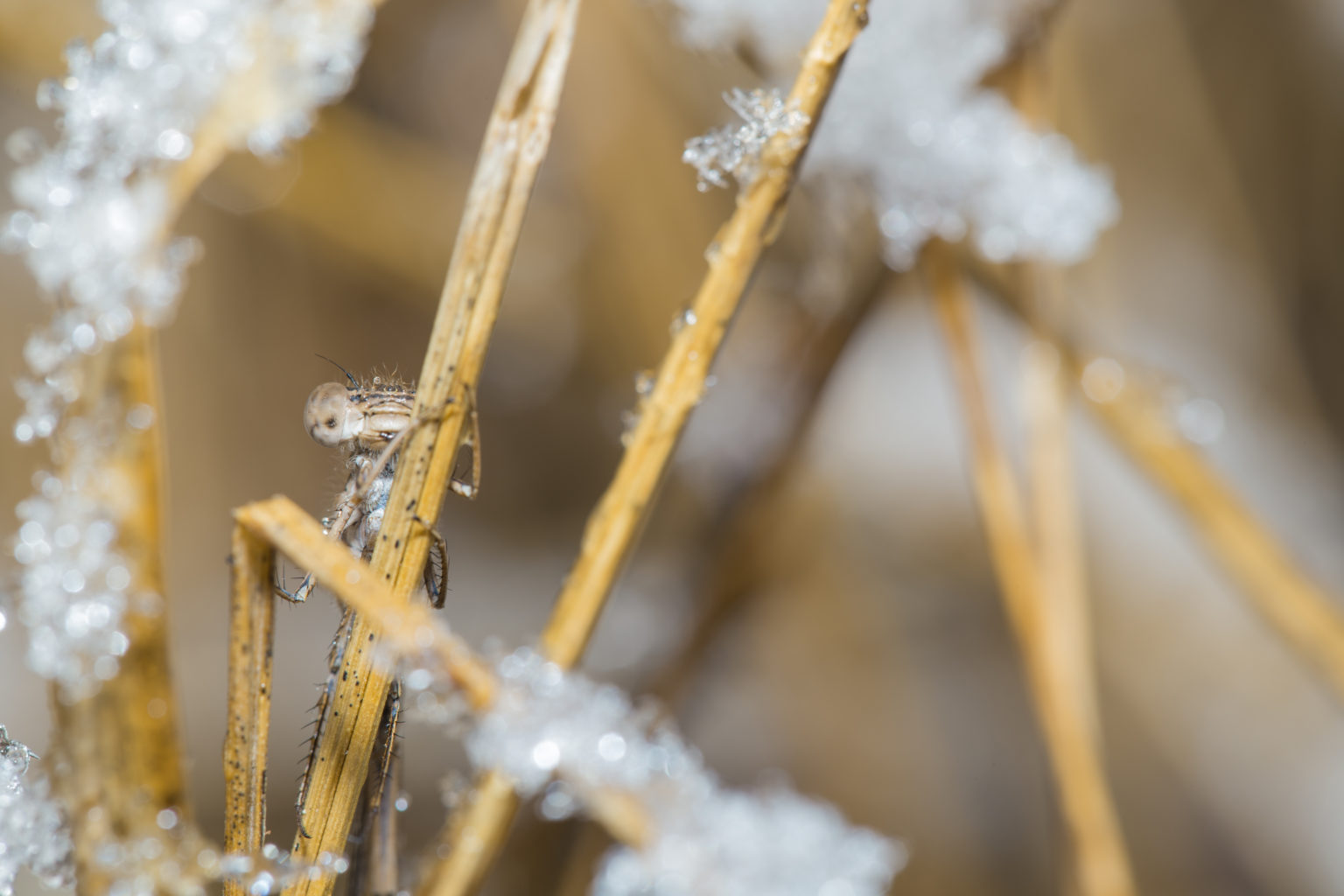 Valokuvaaja: Håkan Söderholm
