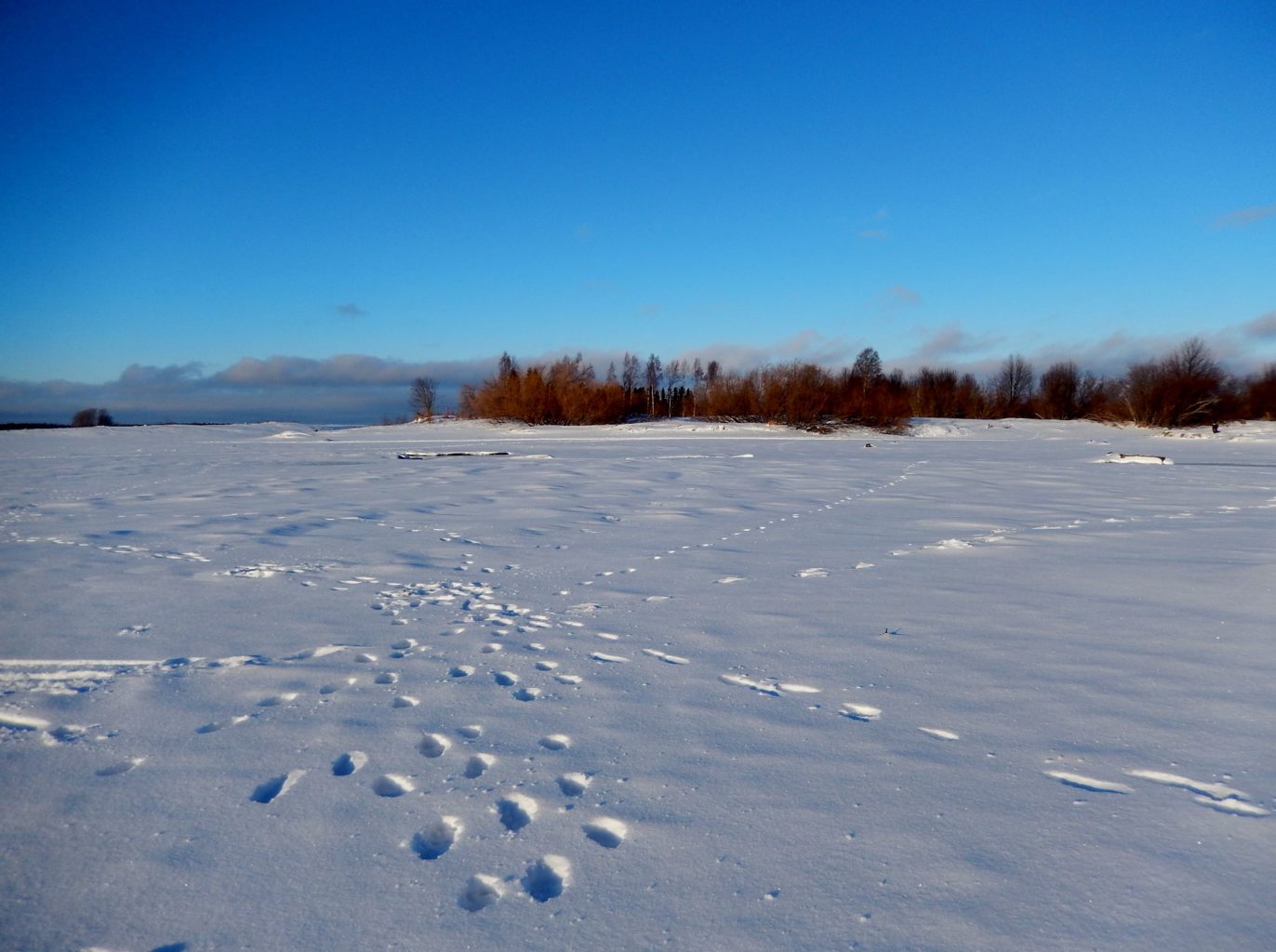Valokuvaaja: Pirkko Siukonen Valokuvaaja: Pirkko Siukonen