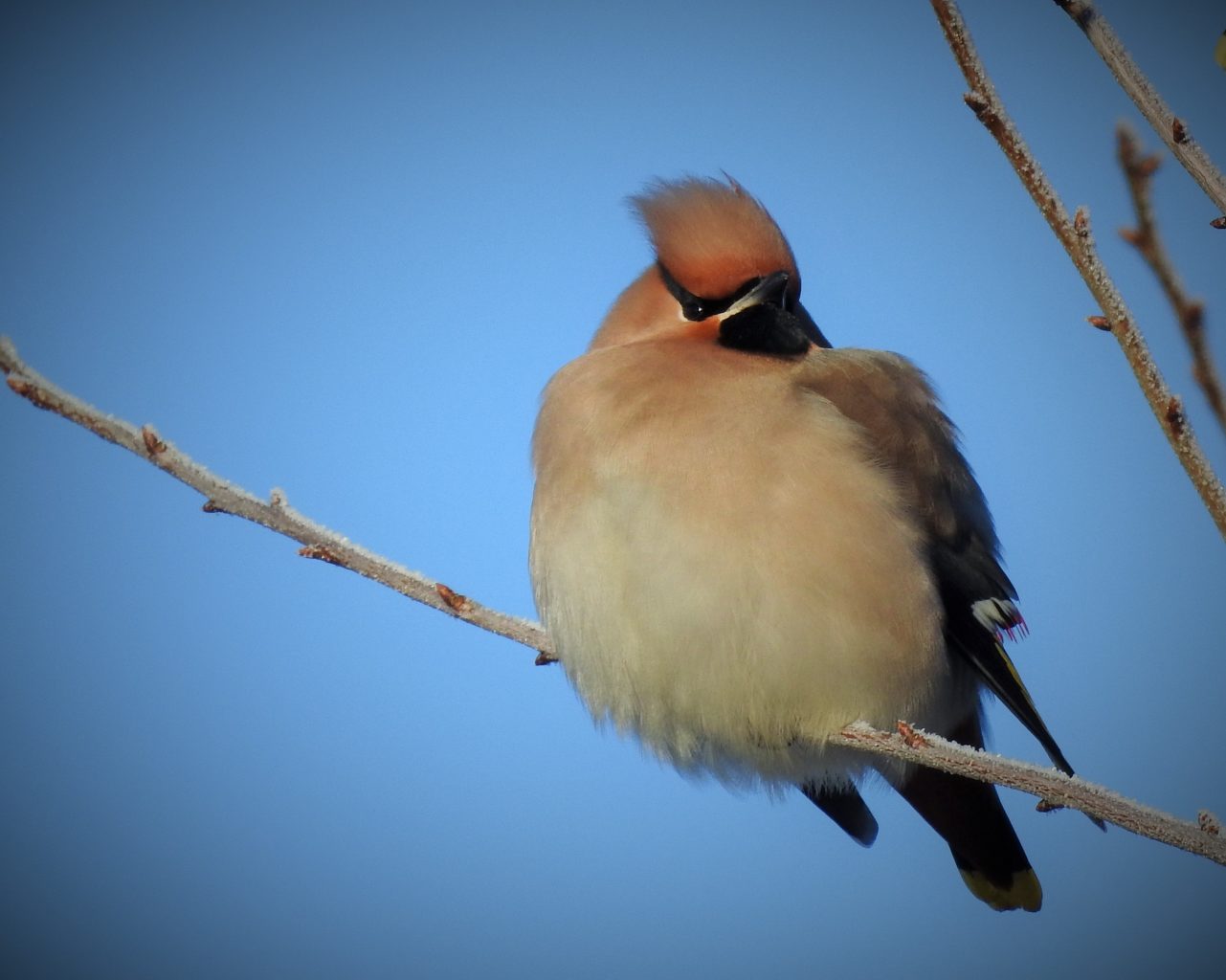 Valokuvaaja: Hanna Laine