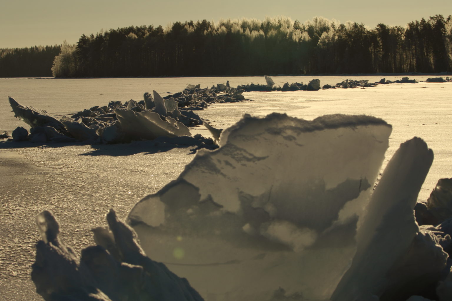 Valokuvaaja: Jukka Ylätalo