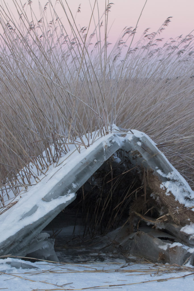 Valokuvaaja: Merja Ollikainen