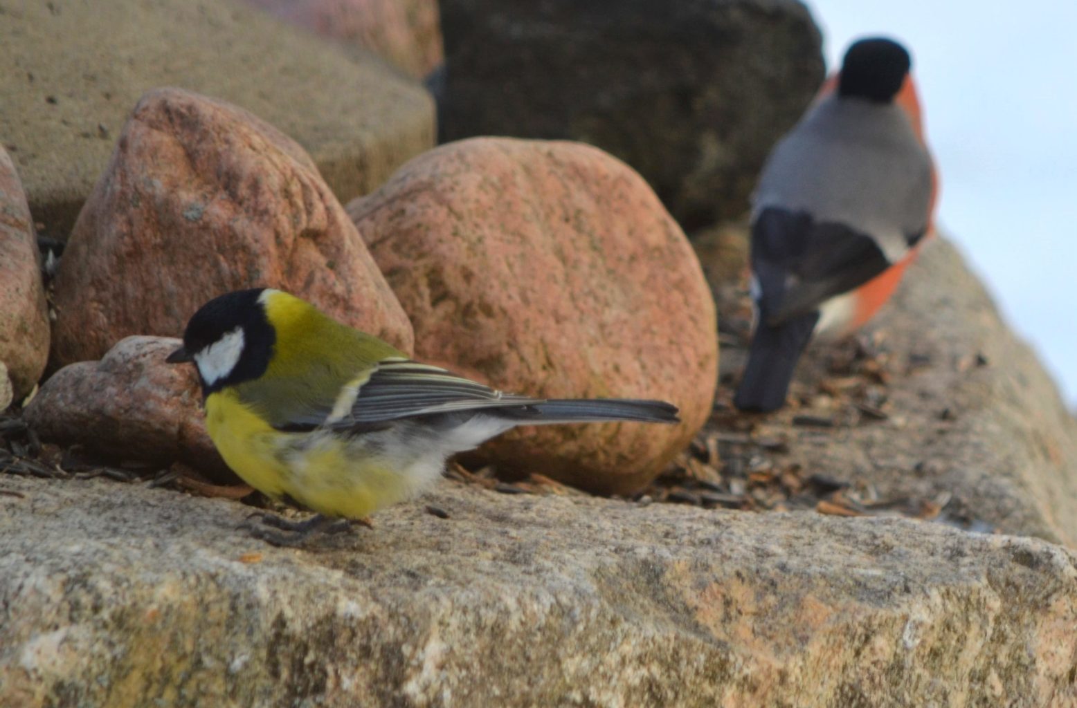 Valokuvaaja: Leena Rissanen