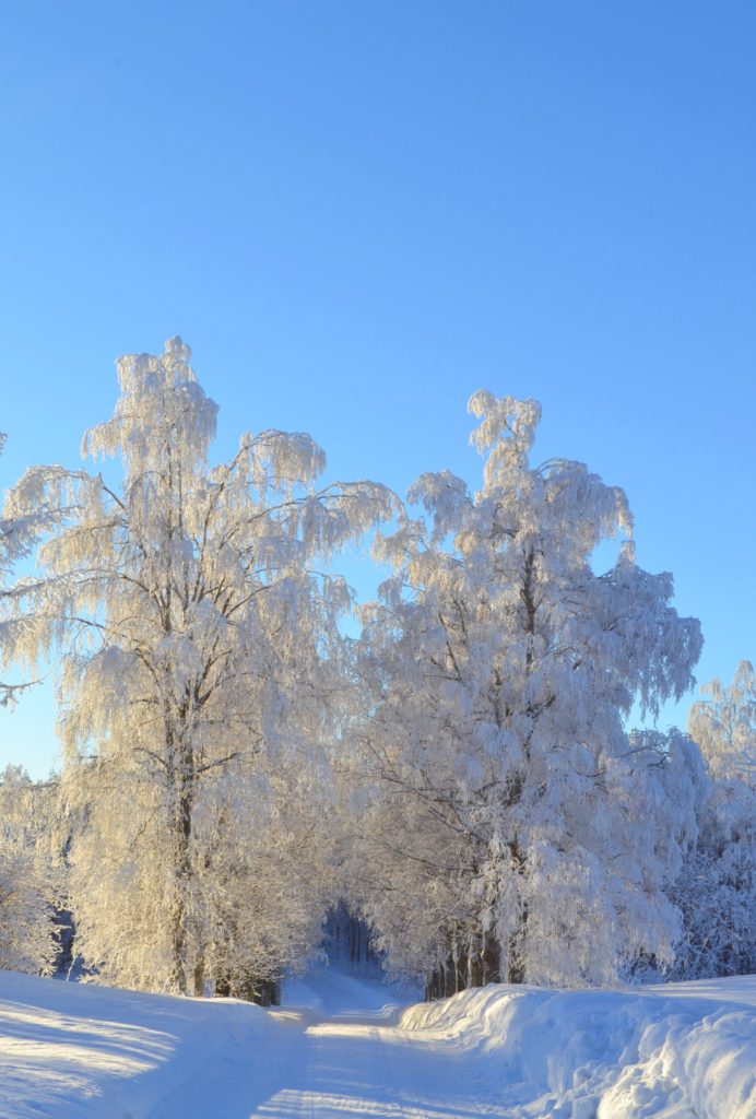 Valokuvaaja: Leena Rissanen