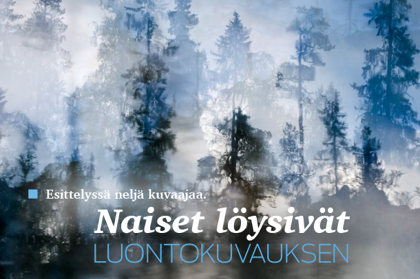 Suomen Luonto 2/17 on ilmestynyt!