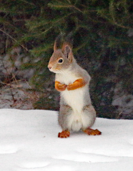 Valokuvaaja: Seppo Kalliomäki