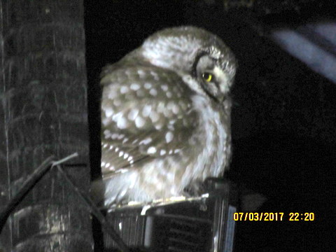 Valokuvaaja: SEIJA LAITALA