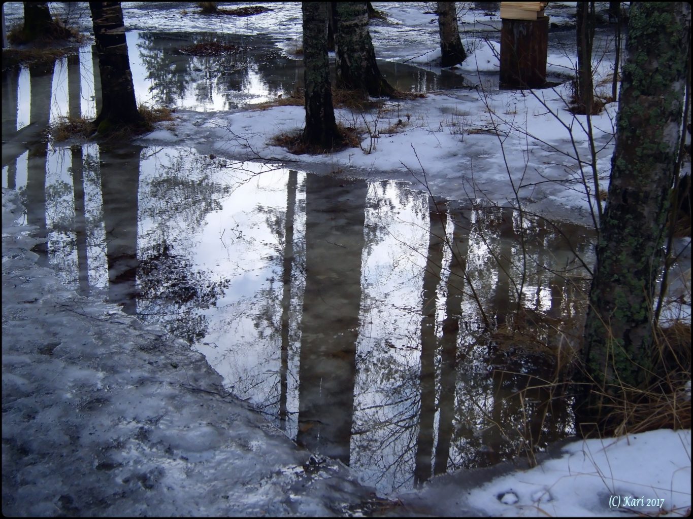 Valokuvaaja: Kari Saarinen Valokuvaaja: Kari Saarinen
