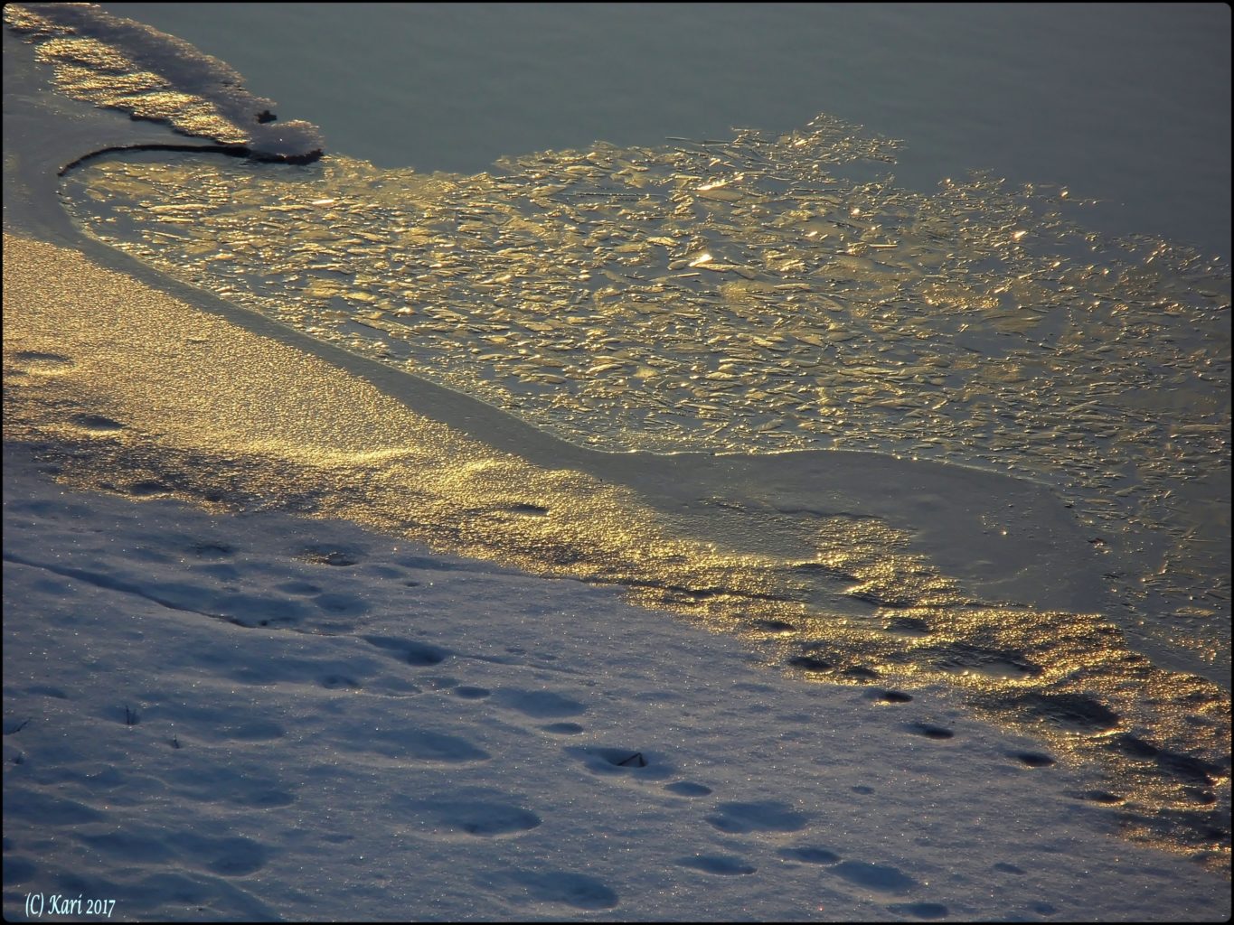 Valokuvaaja: Kari Saarinen