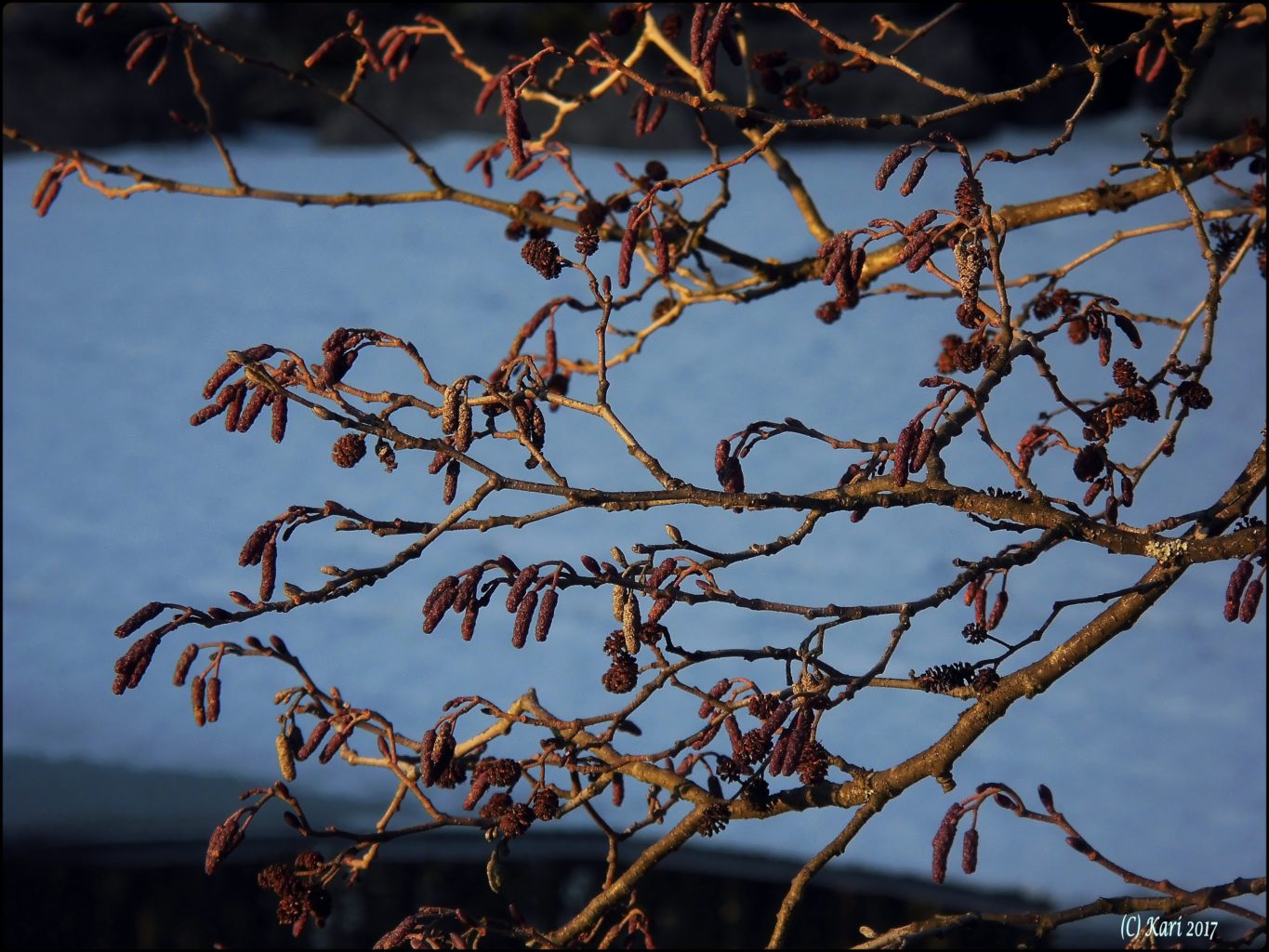 Valokuvaaja: Kari Saarinen